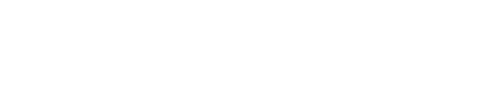 Vividus Marketing